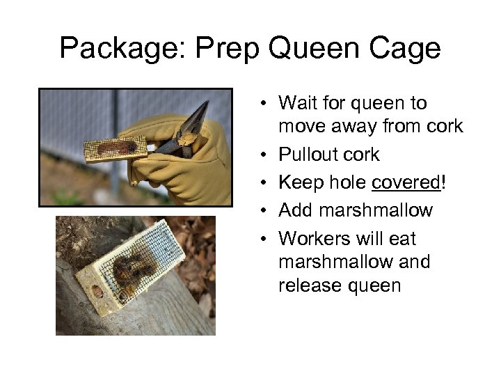 Package: Prep Queen Cage • Wait for queen to move away from cork •