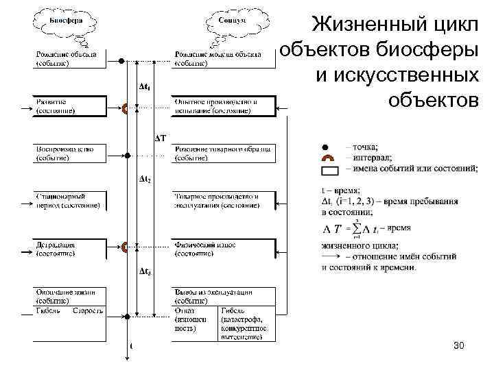 Жизненный цикл объектов биосферы и искусственных объектов 30 