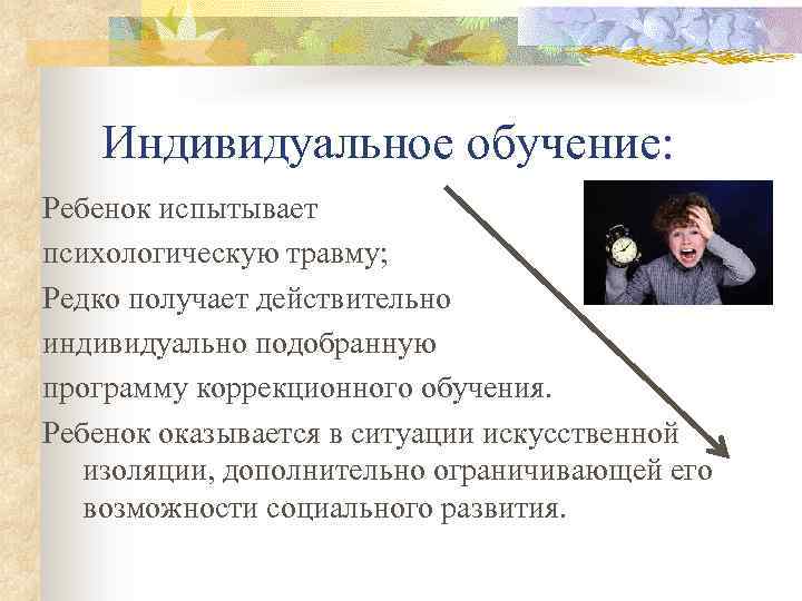 Индивидуальное обучение: Ребенок испытывает психологическую травму; Редко получает действительно индивидуально подобранную программу коррекционного обучения.