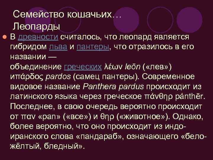 Семейство кошачьих… Леопарды l В древности считалось, что леопард является гибридом льва и пантеры,