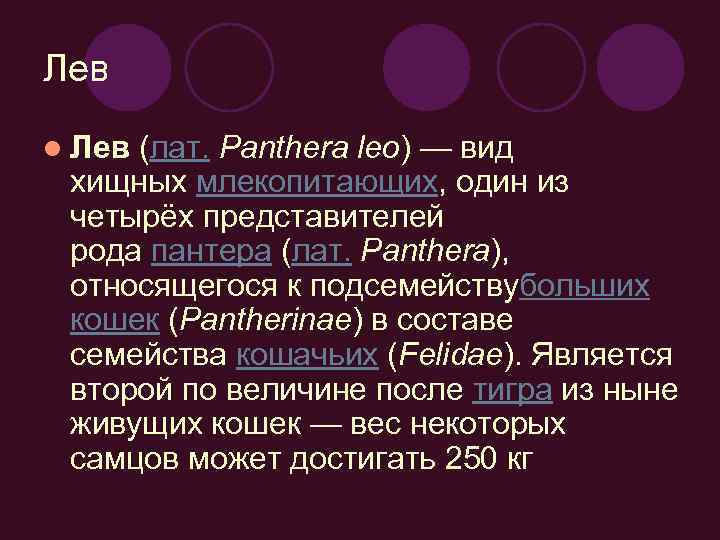 Лев l Лев (лат. Panthera leo) — вид хищных млекопитающих, один из четырёх представителей