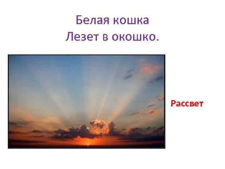 Белая кошка Лезет в окошко. Рассвет 