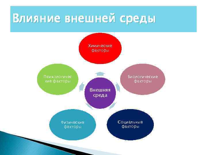 Влияние внешней среды Химические факторы Психологичес кие факторы Биологические факторы Внешняя среда Физические факторы