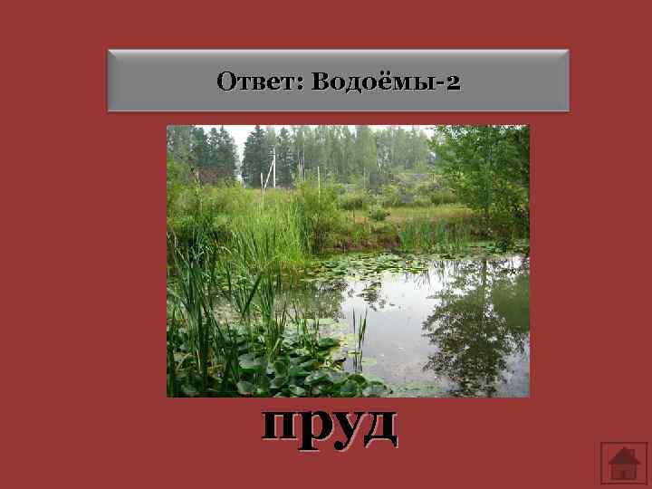 Ответ: Водоёмы-2 пруд 