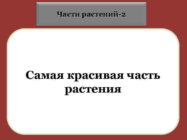 Части растений-2 Самая красивая часть растения 