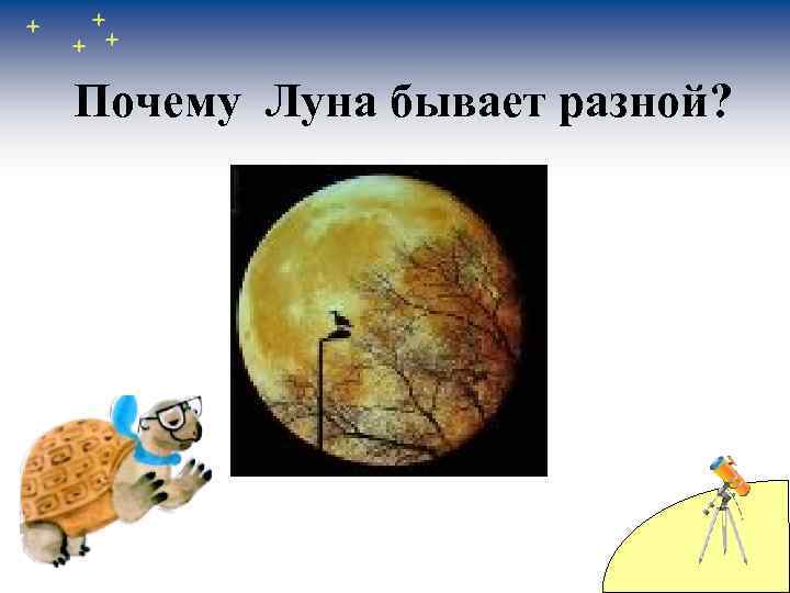 Почему Луна бывает разной? 