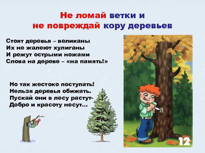 Есть слово дерев. Нельзя ломать ветки деревьев. Не ломайте ветки деревьев. Не ломай ветки деревьев в лесу. Нельзя ломать ветки в лесу для детей.