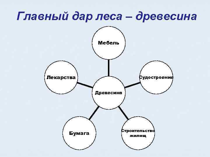 Главный дар леса – древесина Мебель Лекарства Судостроение Древесина Бумага Строительство жилищ 