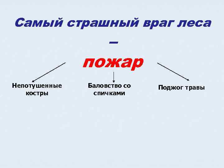 Самый страшный враг леса – пожар Непотушенные костры Баловство со спичками Поджог травы 