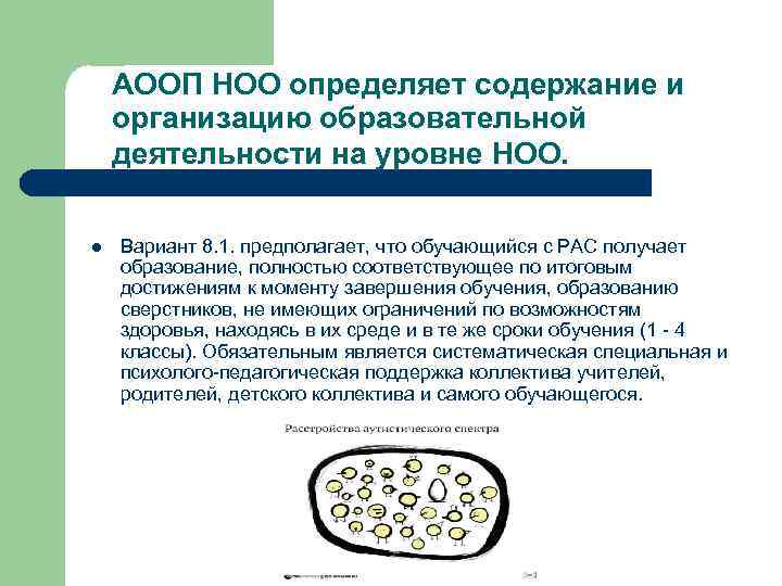 АООП НОО определяет содержание и организацию образовательной деятельности на уровне НОО. l Вариант 8.