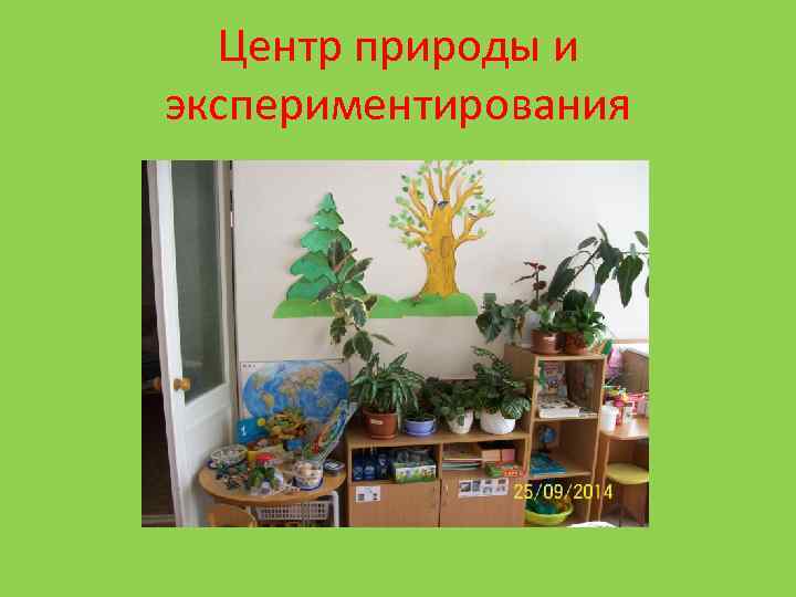 Центр природы и экспериментирования 