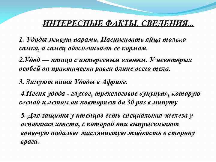 ИНТЕРЕСНЫЕ ФАКТЫ, СВЕДЕНИЯ. . . 1. Удоды живут парами. Насиживать яйца только самка, а