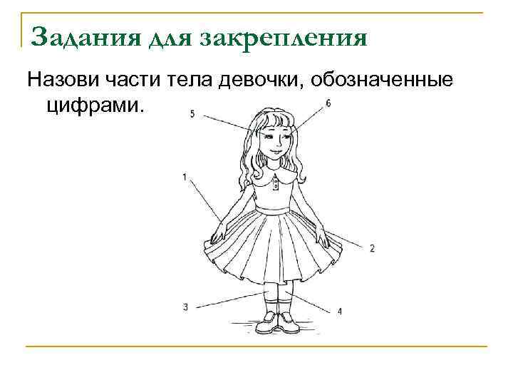 Задания для закрепления Назови части тела девочки, обозначенные цифрами. 