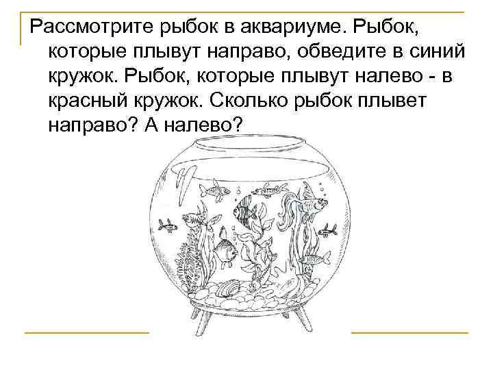 Рассмотрите рыбок в аквариуме. Рыбок, которые плывут направо, обведите в синий кружок. Рыбок, которые