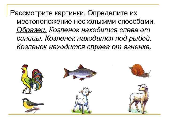 Рассмотрите картинки. Определите их местоположение несколькими способами. Образец. Козленок находится слева от синицы. Козленок