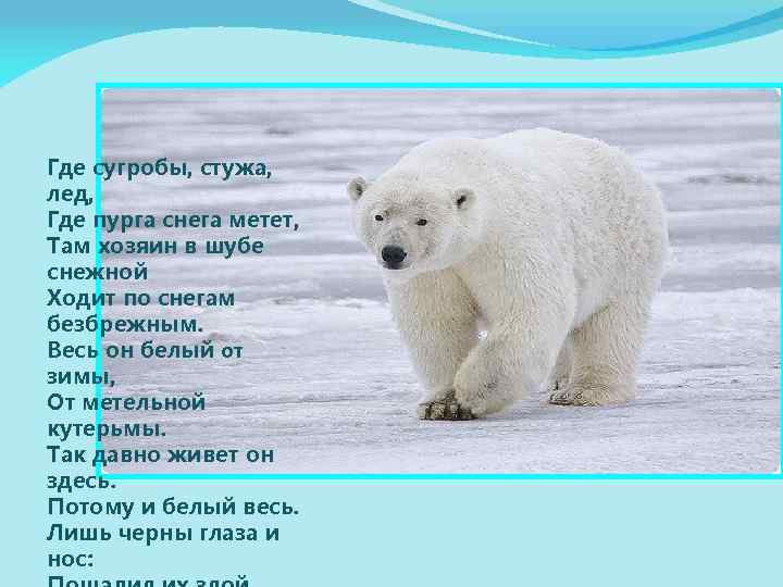 Где сугробы, стужа, лед, Где пурга снега метет, Там хозяин в шубе снежной Ходит