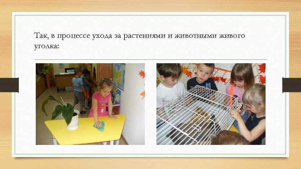 Так, в процессе ухода за растениями и животными живого уголка: 