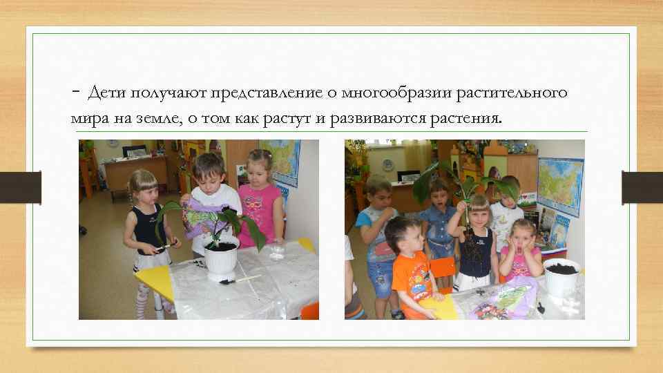 - Дети получают представление о многообразии растительного мира на земле, о том как растут