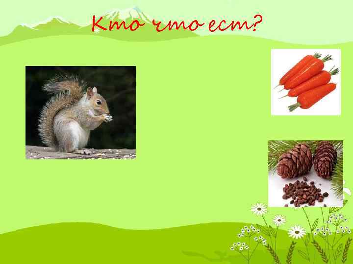 Кто что ест? 