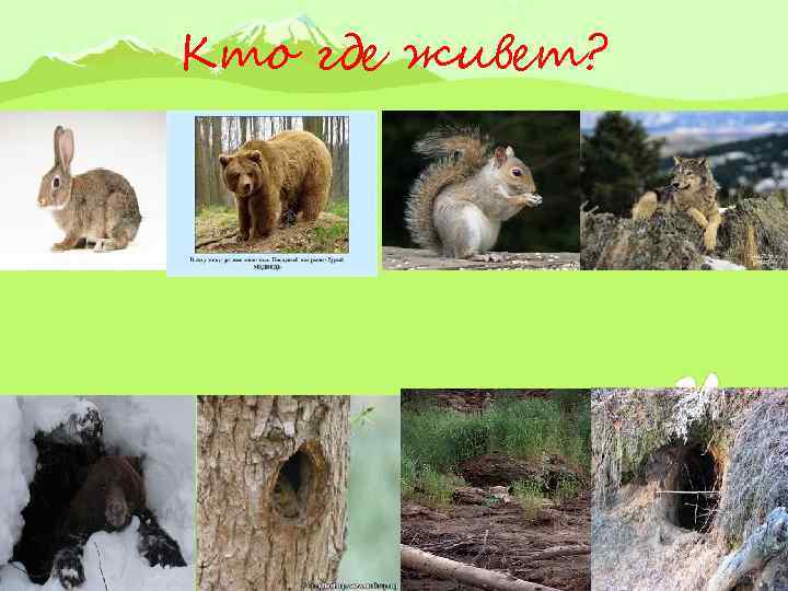 Кто где живет? 