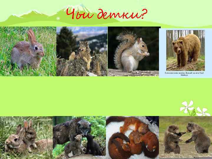 Чьи детки? 