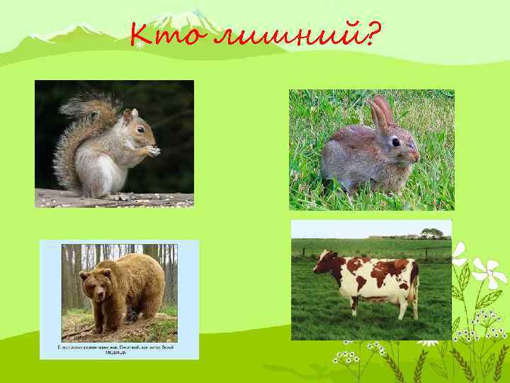 Кто лишний? 