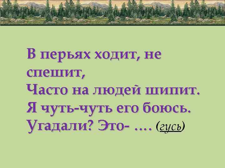 В перьях ходит, не спешит, Часто на людей шипит. Я чуть-чуть его боюсь. Угадали?