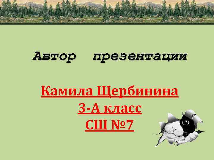 Автор презентации Камила Щербинина 3 -А класс СШ № 7 