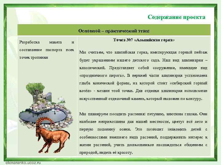 Содержание проекта Основной – практический этап: Разработка макета и составление паспорта всех точек тропинки