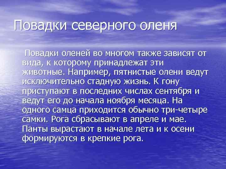 Повадки северного оленя Повадки оленей во многом также зависят от вида, к которому принадлежат