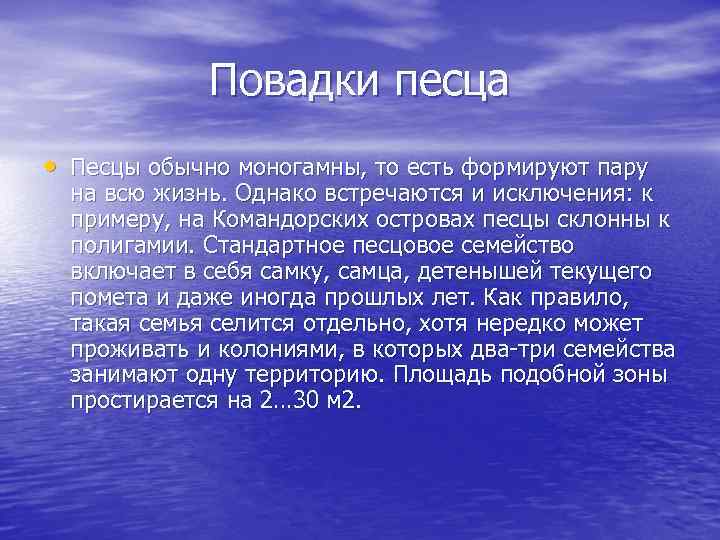 Повадки песца • Песцы обычно моногамны, то есть формируют пару на всю жизнь. Однако
