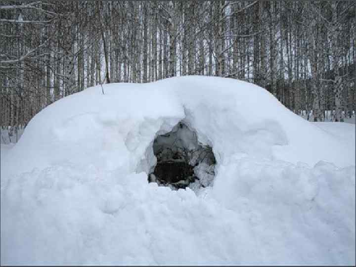 Зимой её засыплет снегом 