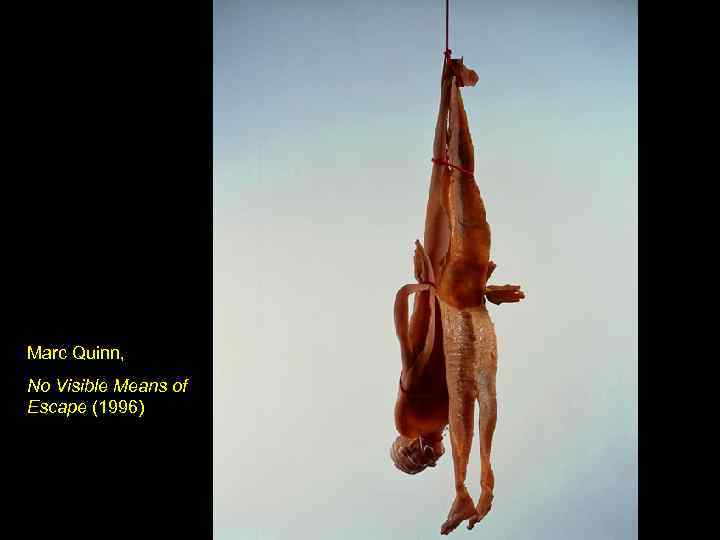 Marc Quinn, No Visible Means of Escape (1996) 