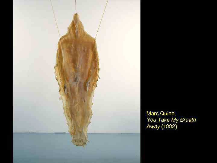 Marc Quinn, You Take My Breath Away (1992) 