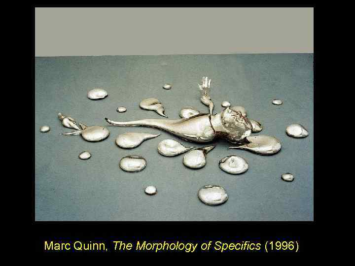 Marc Quinn, The Morphology of Specifics (1996) 