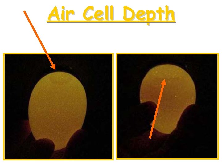 Air Cell Depth 