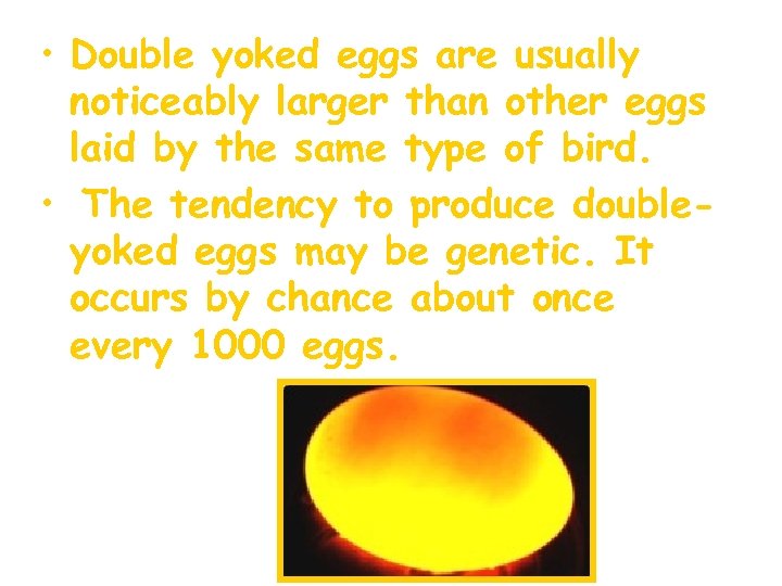  • Double yoked eggs are usually noticeably larger than other eggs laid by