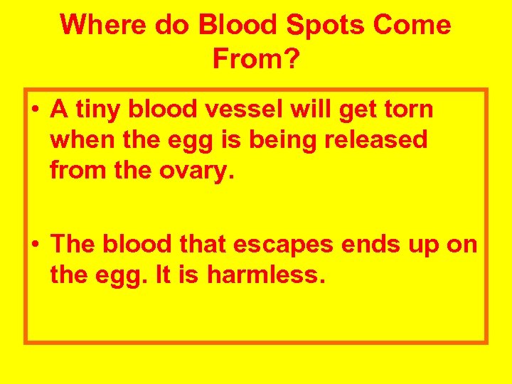 Where do Blood Spots Come From? • A tiny blood vessel will get torn