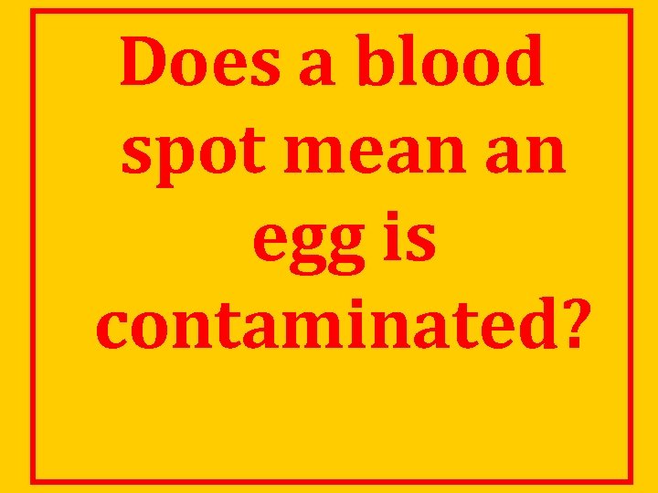 Does a blood spot mean an egg is contaminated? 