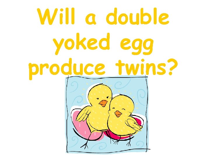 Will a double yoked egg produce twins? 