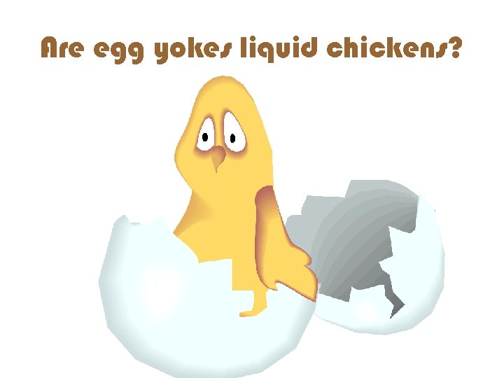 Are egg yokes liquid chickens? 