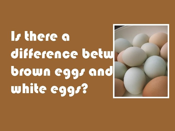 Is there a difference between brown eggs and white eggs? 