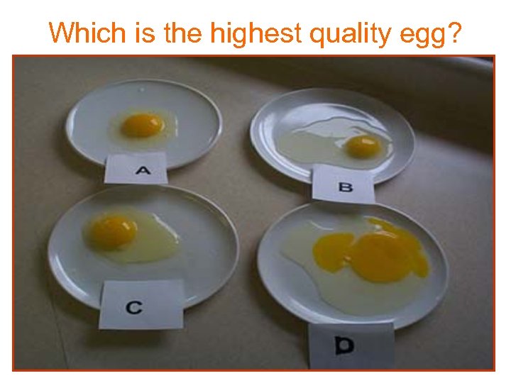 Which is the highest quality egg? 