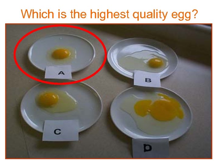 Which is the highest quality egg? 