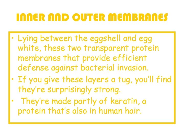 INNER AND OUTER MEMBRANES • Lying between the eggshell and egg white, these two