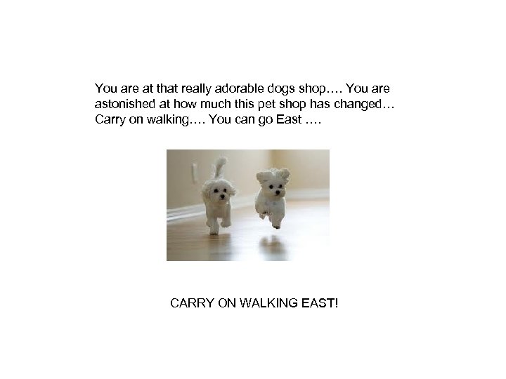 You are at that really adorable dogs shop…. You are astonished at how much