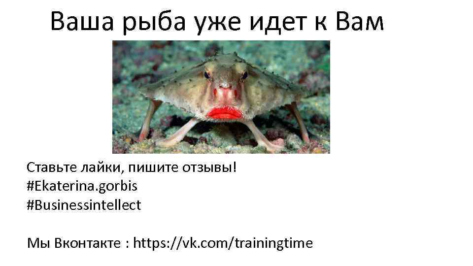 Ваша рыба уже идет к Вам Ставьте лайки, пишите отзывы! #Ekaterina. gorbis #Businessintellect Мы