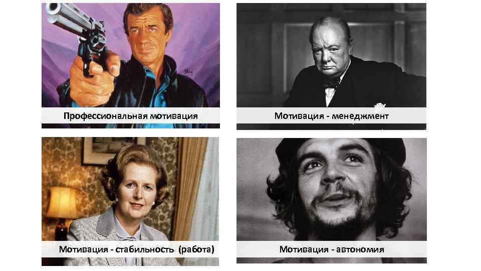 Профессиональная мотивация Мотивация - стабильность (работа) Мотивация - менеджмент Мотивация - автономия 