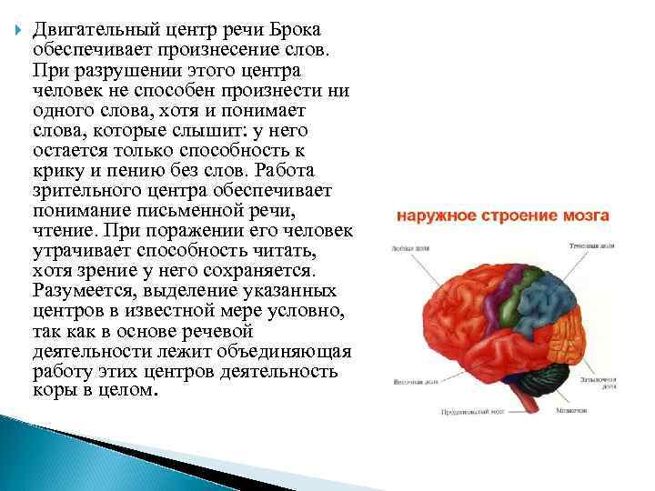  Двигательный центр речи Брока обеспечивает произнесение слов. При разрушении этого центра человек не