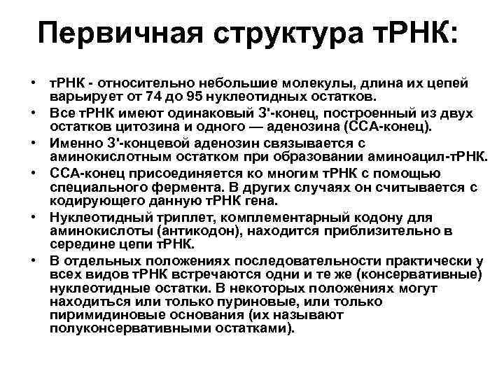 Первичная структура т. РНК: • т. РНК - относительно небольшие молекулы, длина их цепей